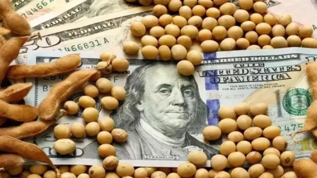 Depreciación del dólar pone en jaque al agronegocio