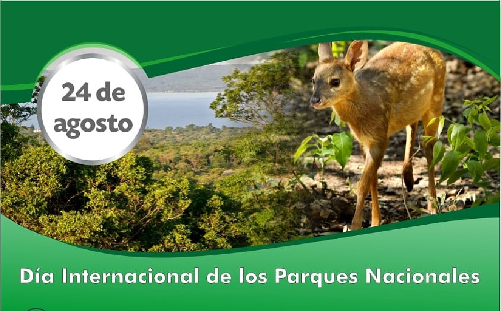 24 de agosto: Día Internacional de los Parques Nacionales
