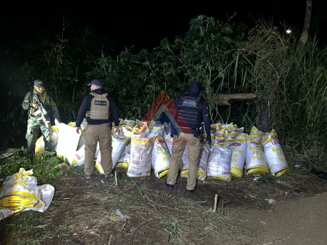 Desmantelan centro logístico de acopio y procesamiento de drogas en Amambay