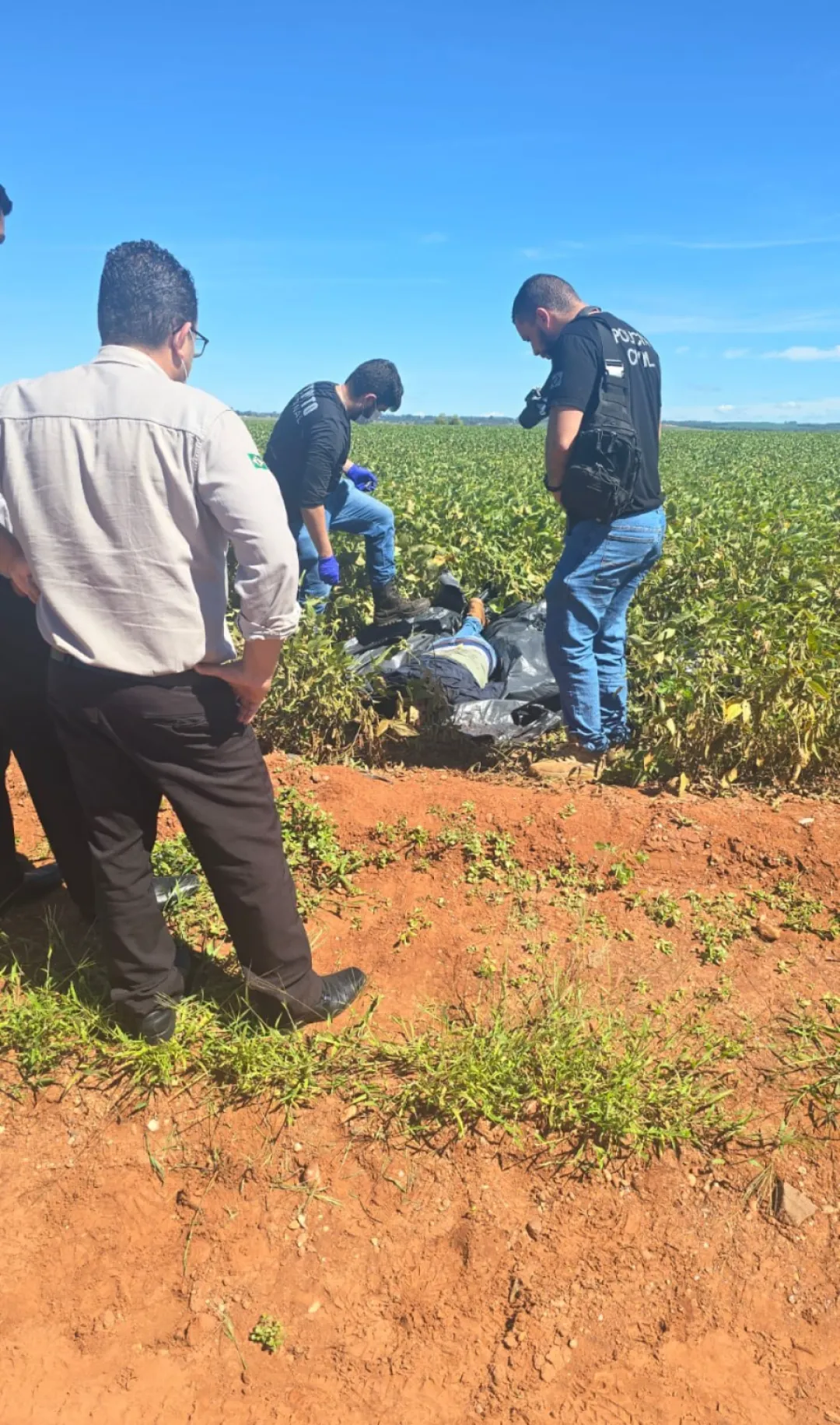 Misterio en Ponta Porã: Confirman hallazgo de un cadáver masculino en plantación de soja