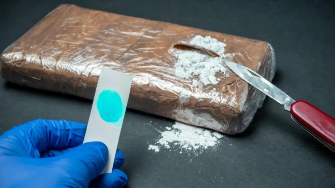 Operativo Nexus: Policía allana oficinas y detiene a dos personas por envío de cocaína a Europa
