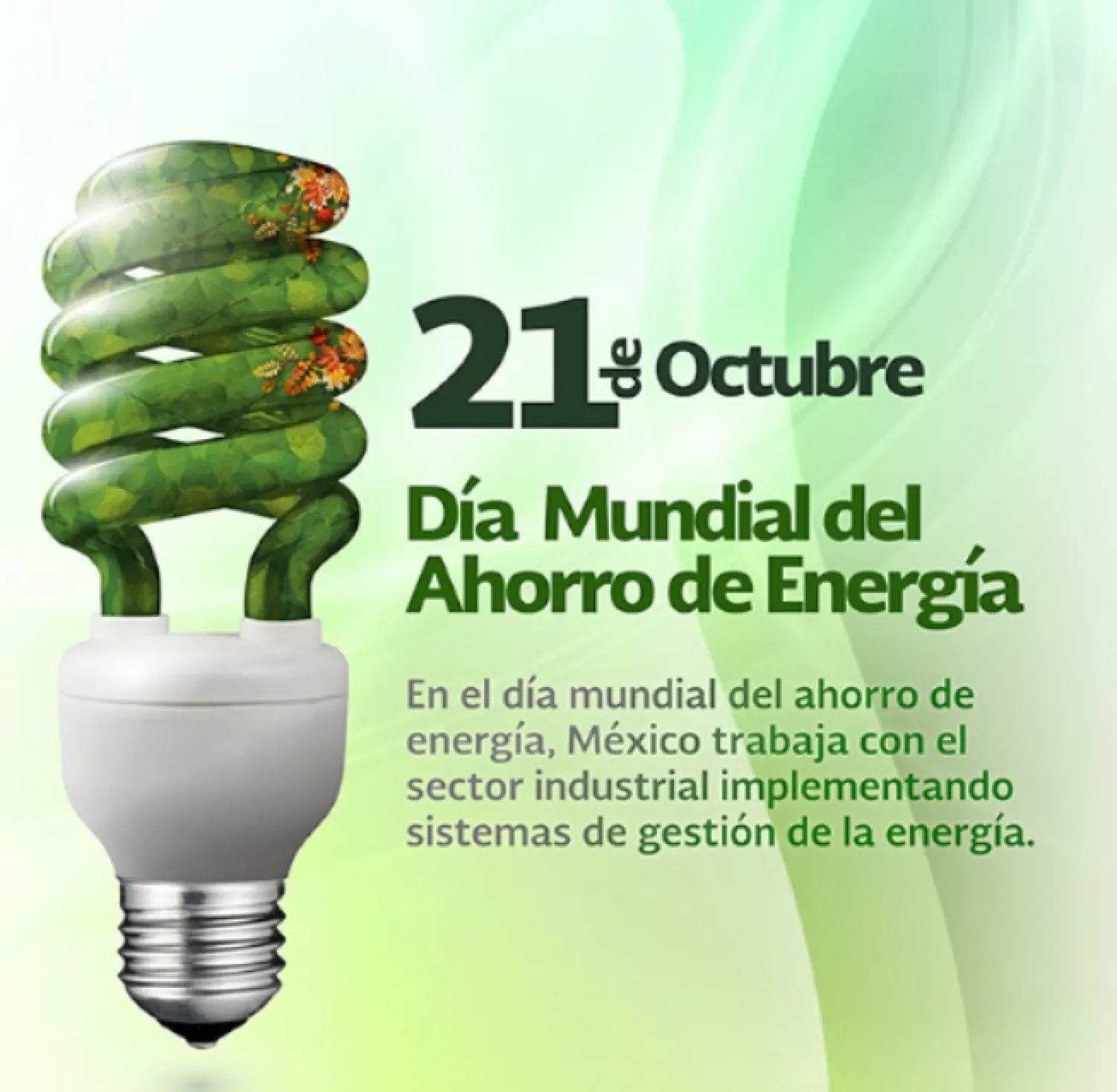 Día mundial del ahorro de energía