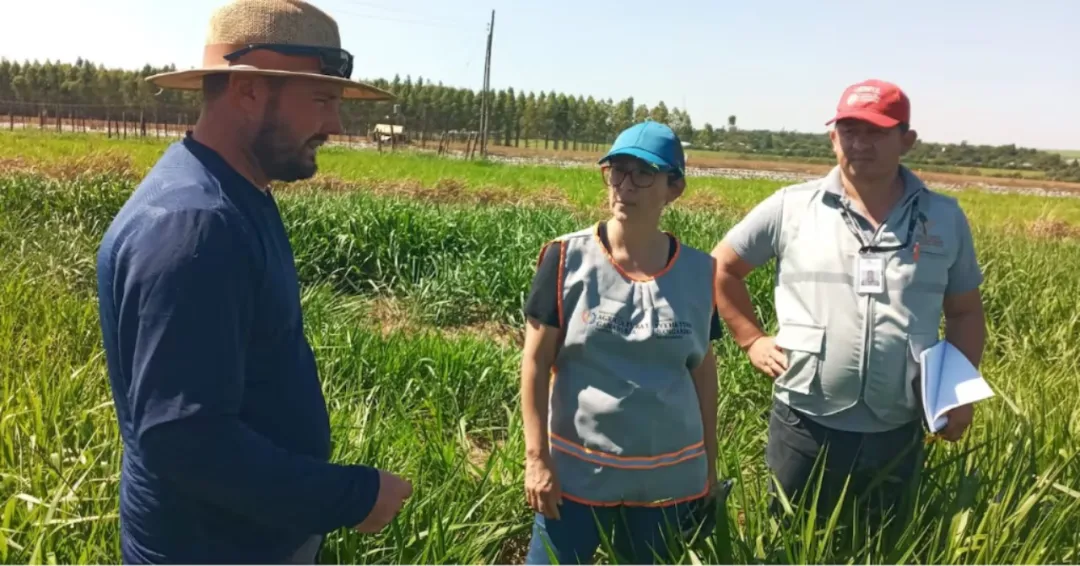 Encuesta Nacional Agropecuaria llega al 40 % y ya apunta al Chaco