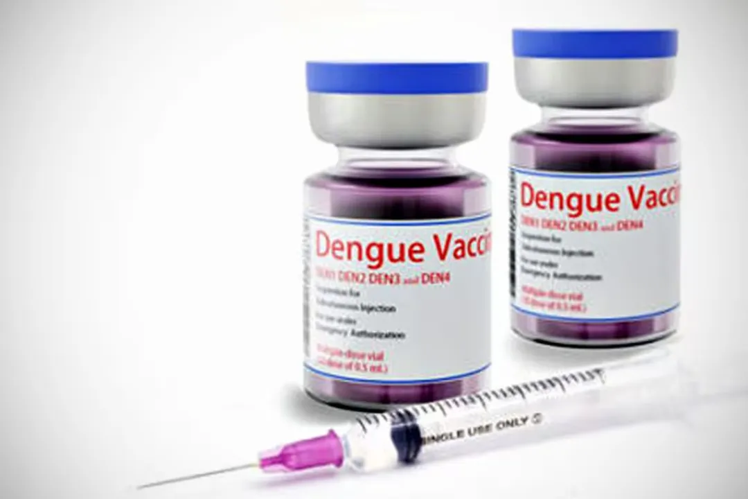 La OPS emitió alerta por aumento de dengue en América y advierte que puede ser grave