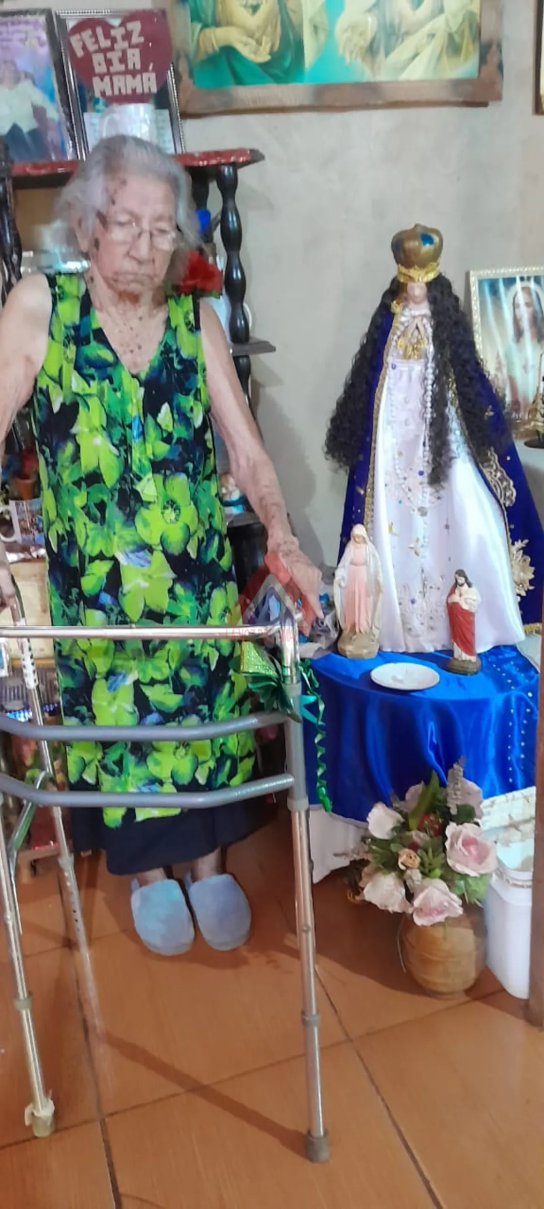 Abuela celebra sus 104 años: Un siglo de historias y recuerdos