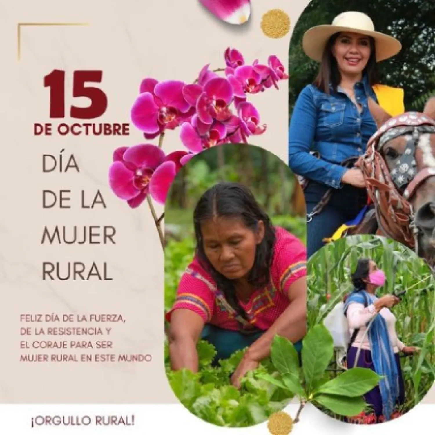 15 de octubre: Día Internacional de la Mujer Rural