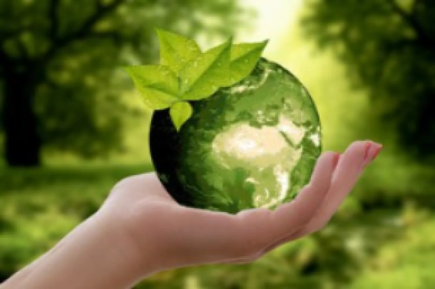 Día Mundial de la Ecología