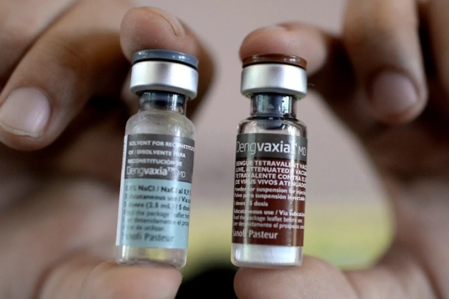 Vacuna contra el dengue: Por baja cobertura analizan ampliar rango etario y localidades