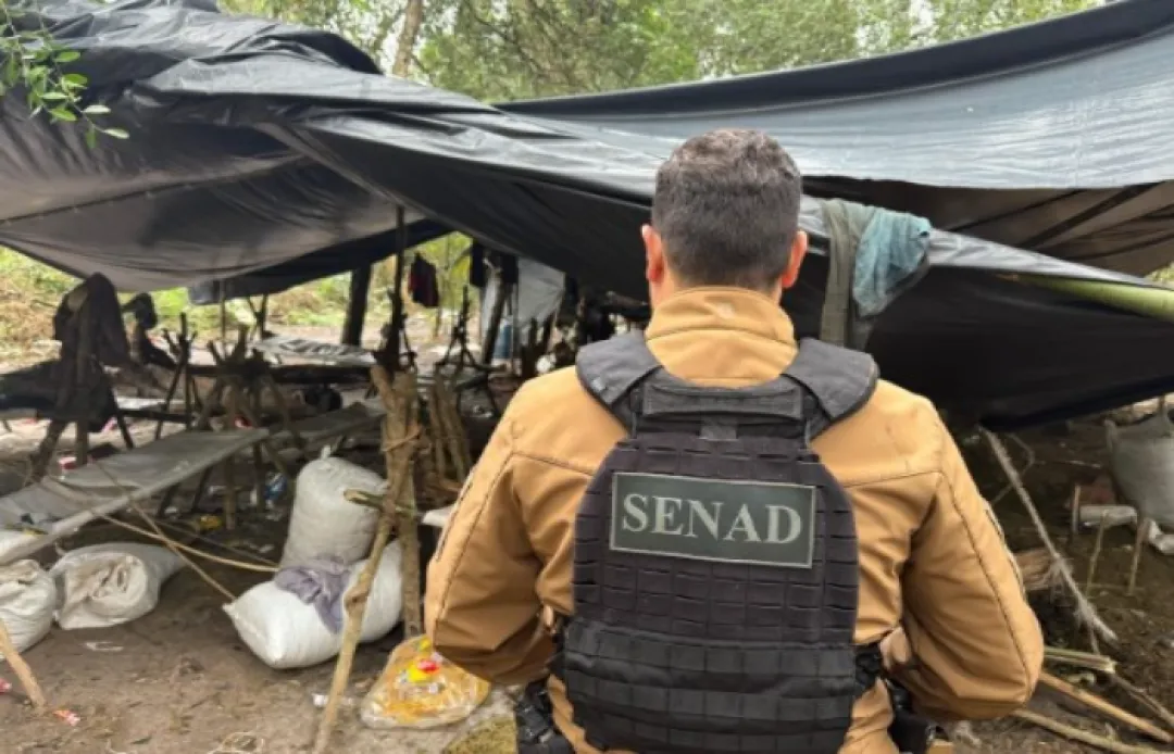 SENAD ELIMINA BLOQUES DE PRODUCCIÓN DE MARIHUANA EN LA BIOSFERA DEL RÍO APA