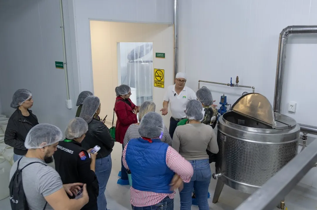 Ruta del Queso: descubrí el encanto del turismo gourmet rural