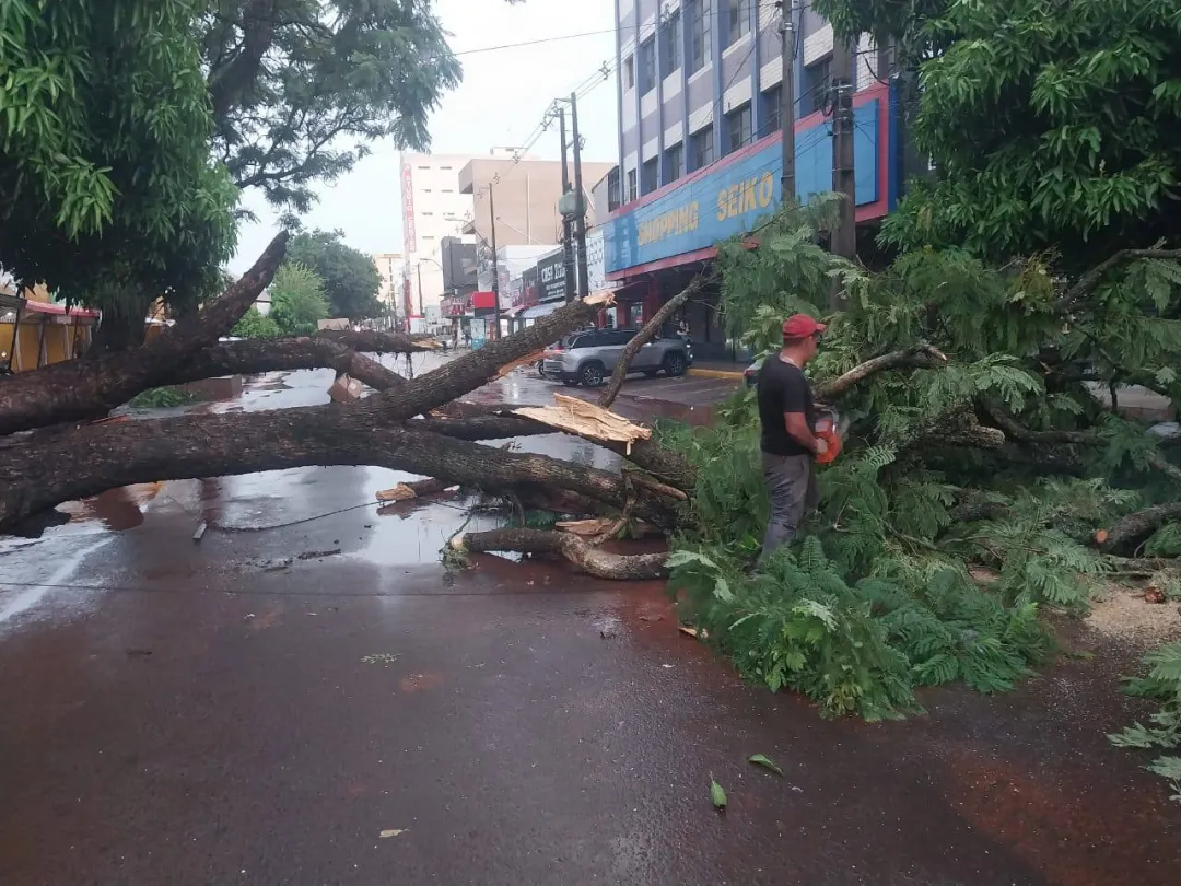 Municipalidal local realiza trabajos tras torrencial lluvia en la ciudad
