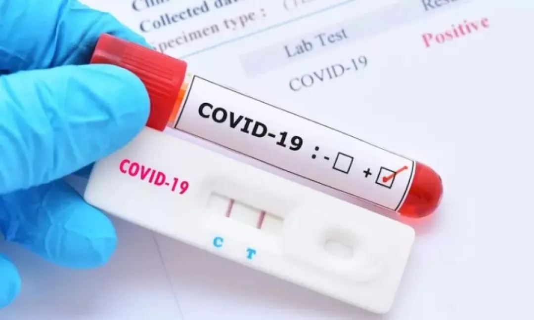 La pandemia aceleró el envejecimiento cerebral incluso en personas no infectadas, según un estudio