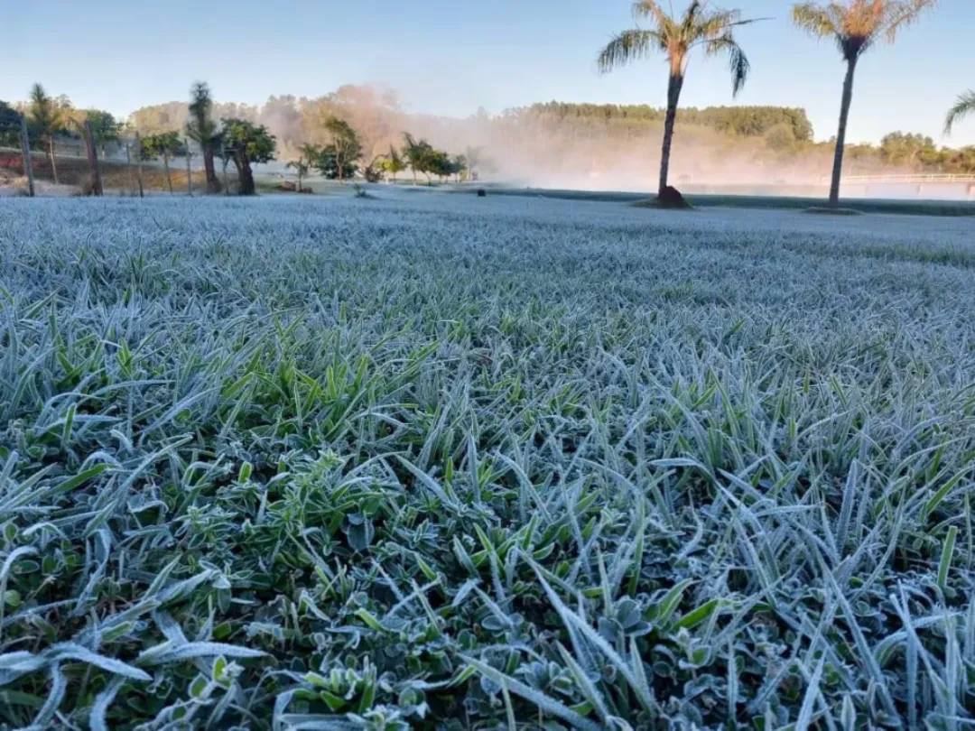 Pronostican bajas temperaturas y posibles heladas que afectarían cultivos sensibles