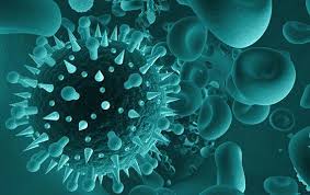 Virus sincitial, covid e influenza, casos que predominan a nivel país