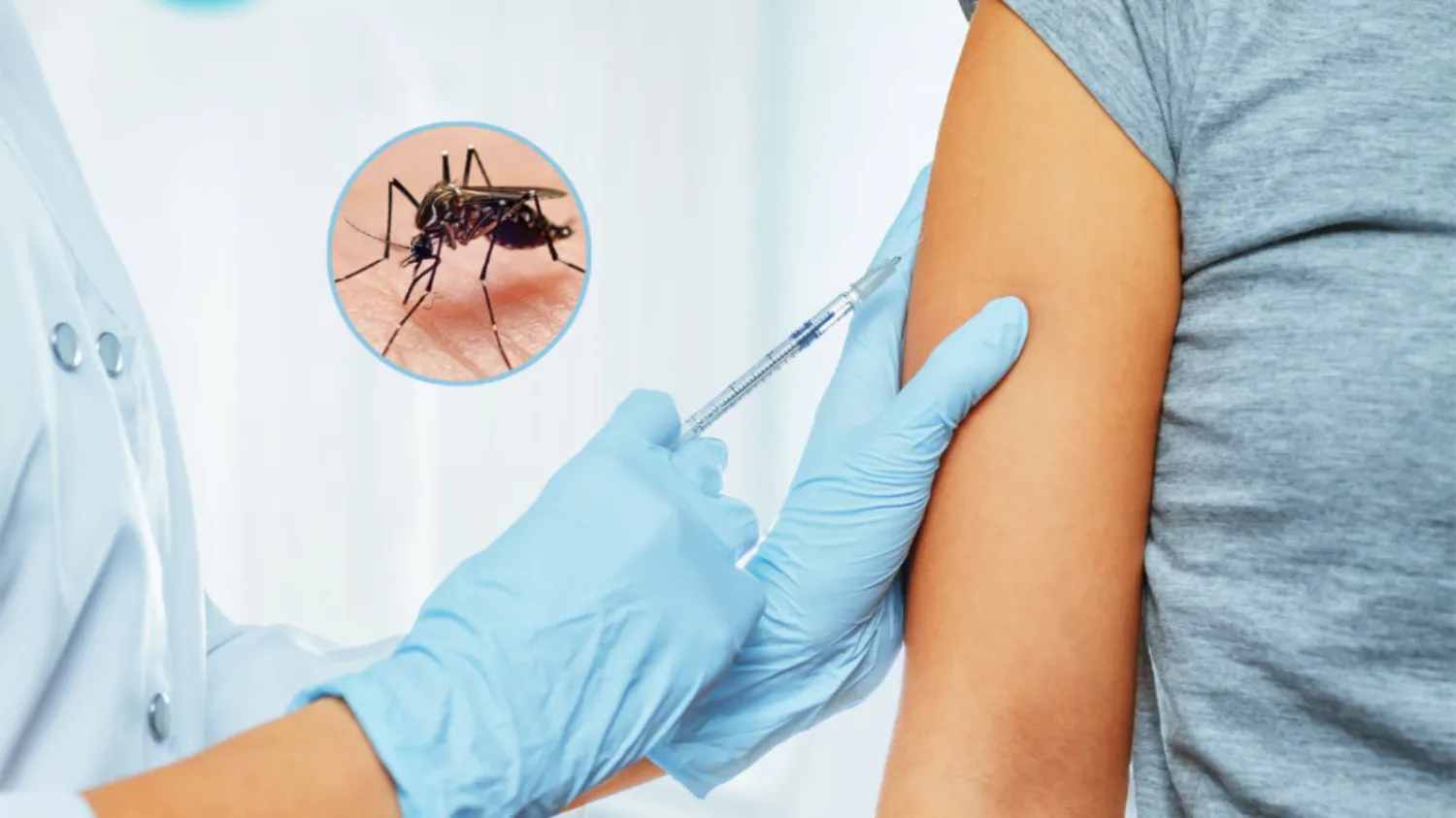 Salud se alista para iniciar la campaña de vacunación contra el dengue