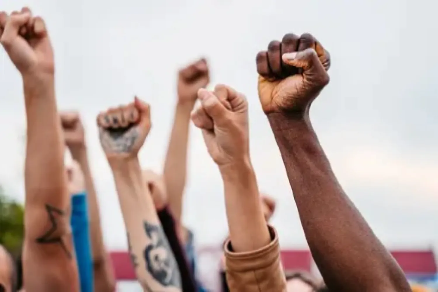 Este 10 de diciembre se celebra el "Día Internacional de los Derechos Humanos"