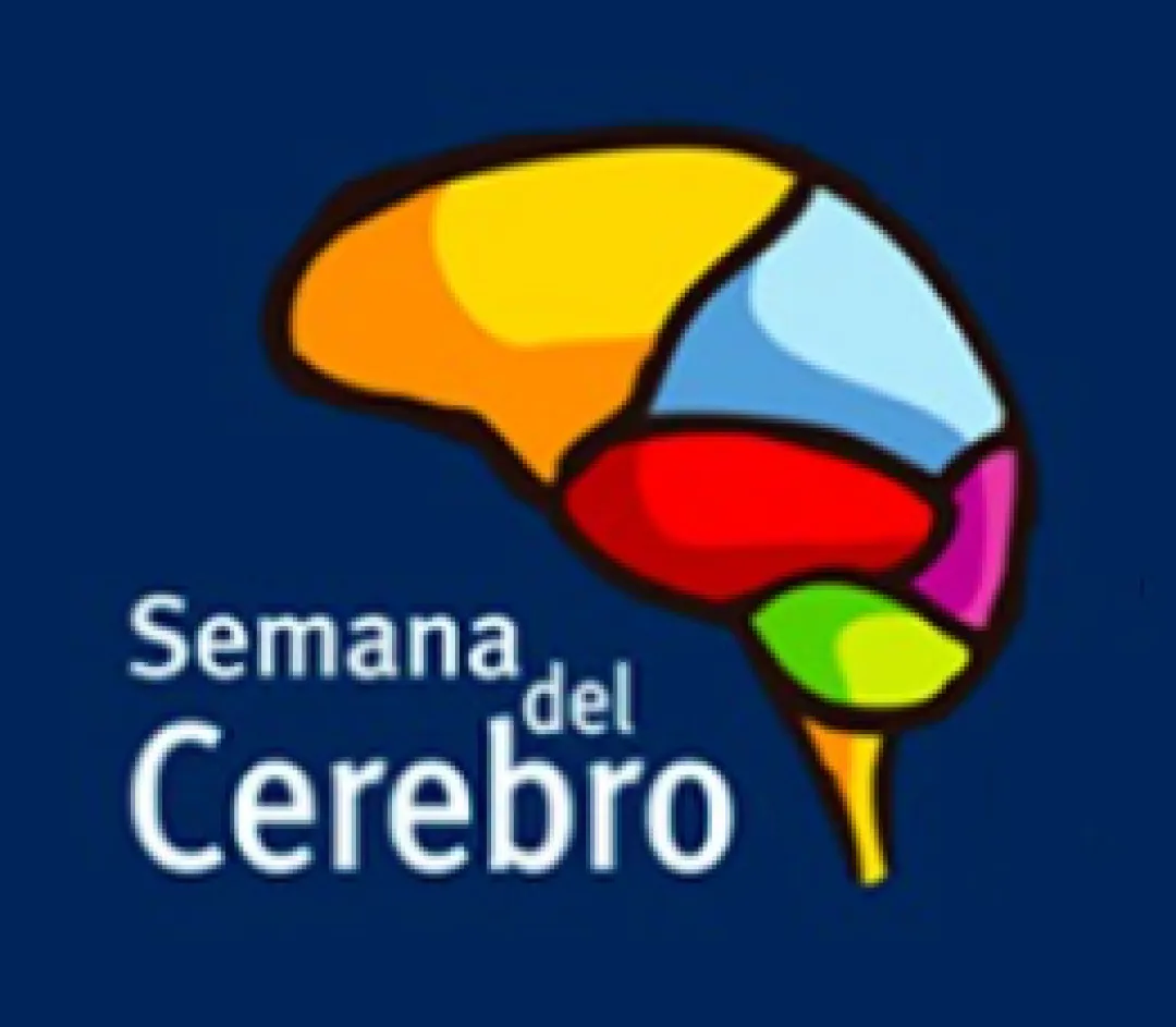 Del 10 al 15 de marzo celebramos la Semana del Cerebro 2025