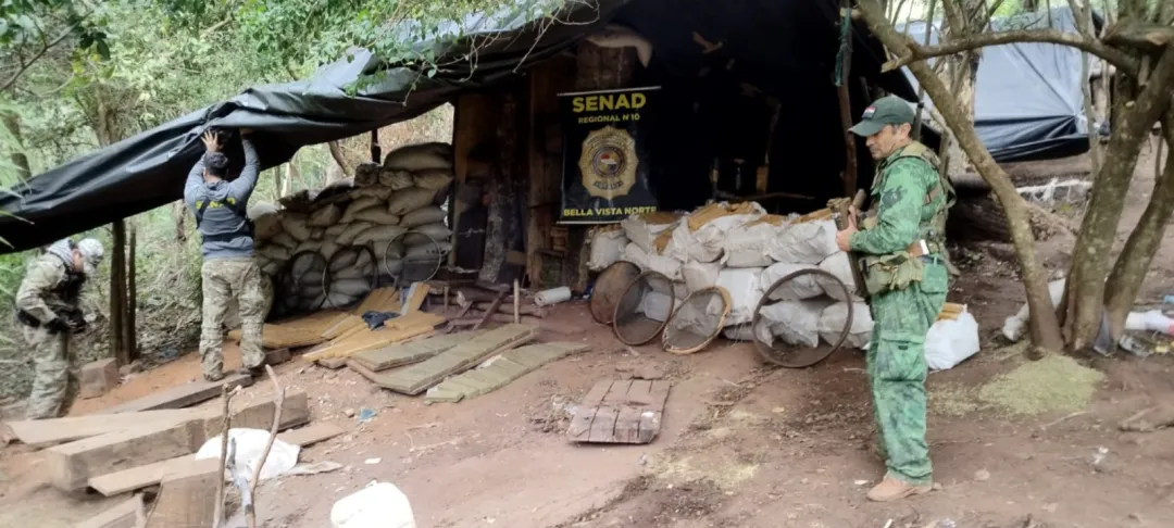 SENAD anula casi 17 toneladas de marihuana en operativo contra el narcotráfico en el Amambay