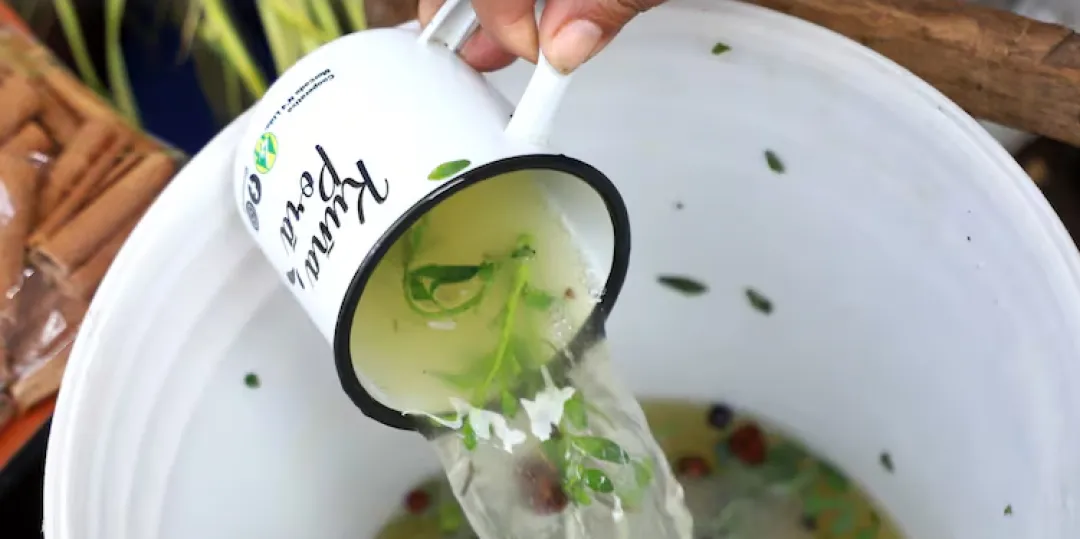 Instan a que el carrulim se consuma solo 7 tragos y a no abusar con el “agosto poty”