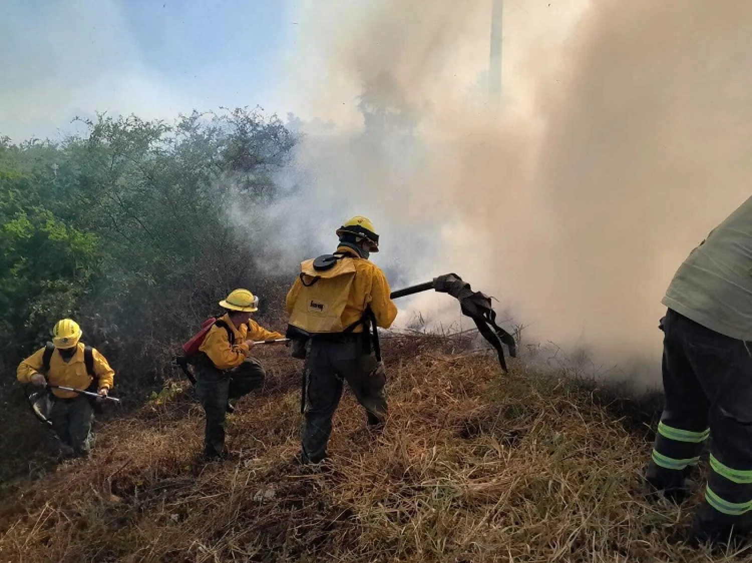 Lluvia sofocó incendio que afectó 45% del Parque Cerro Corá