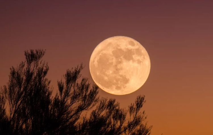Esta noche se verá la superluna, y de yapa a Saturno a simple vista