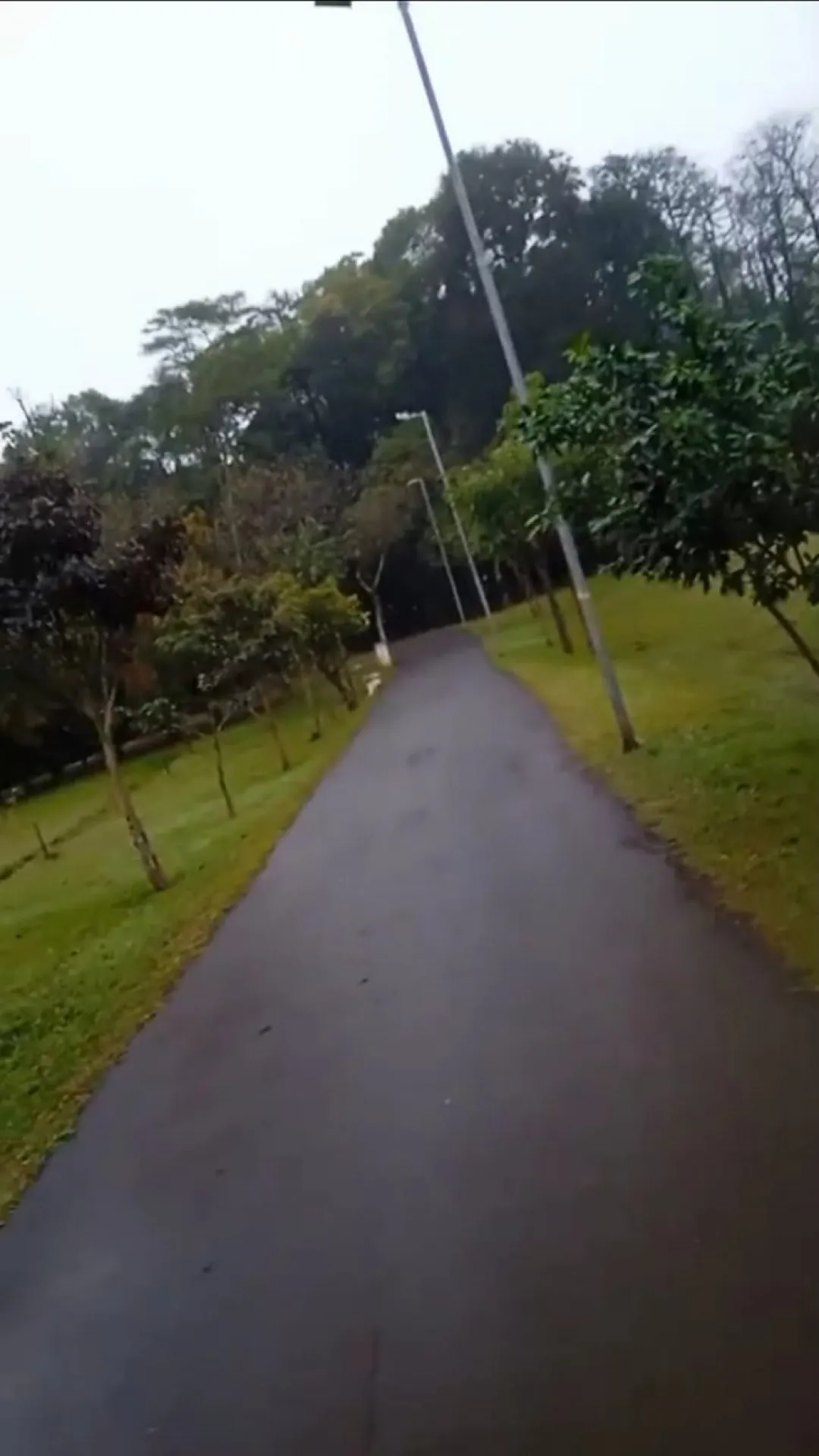 Intento de abuso en Horto Florestal: Mujer salvada por empleado municipal tras pedir auxilio