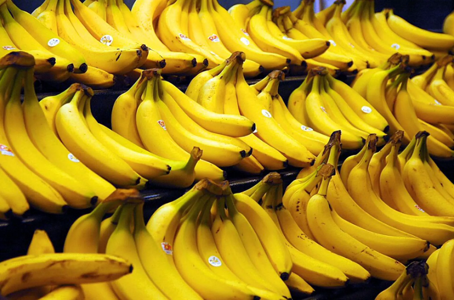 Banana: precio sube y cae exportación