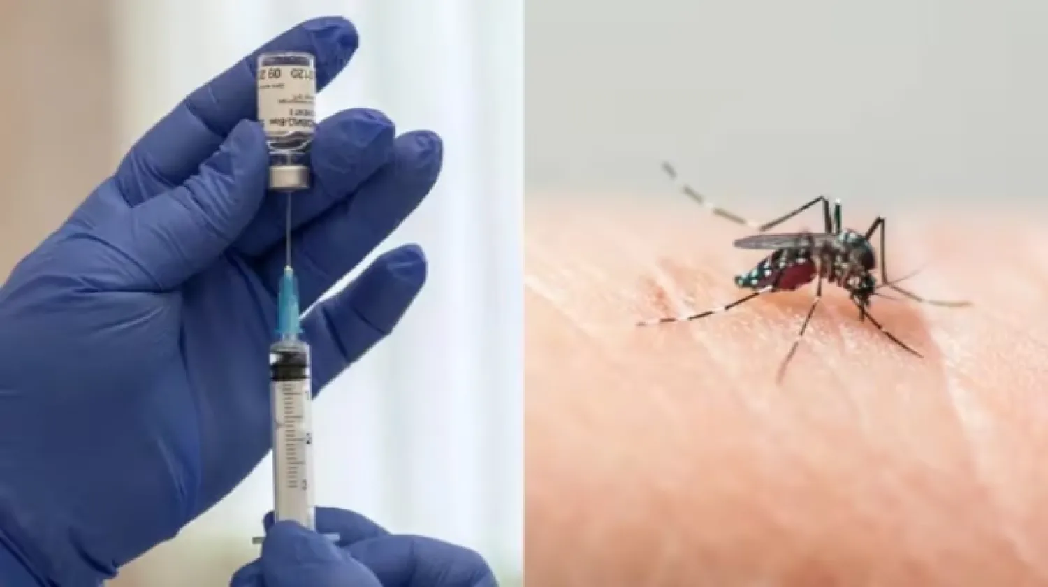 Llegaron 70.200 dosis de vacunas contra el dengue