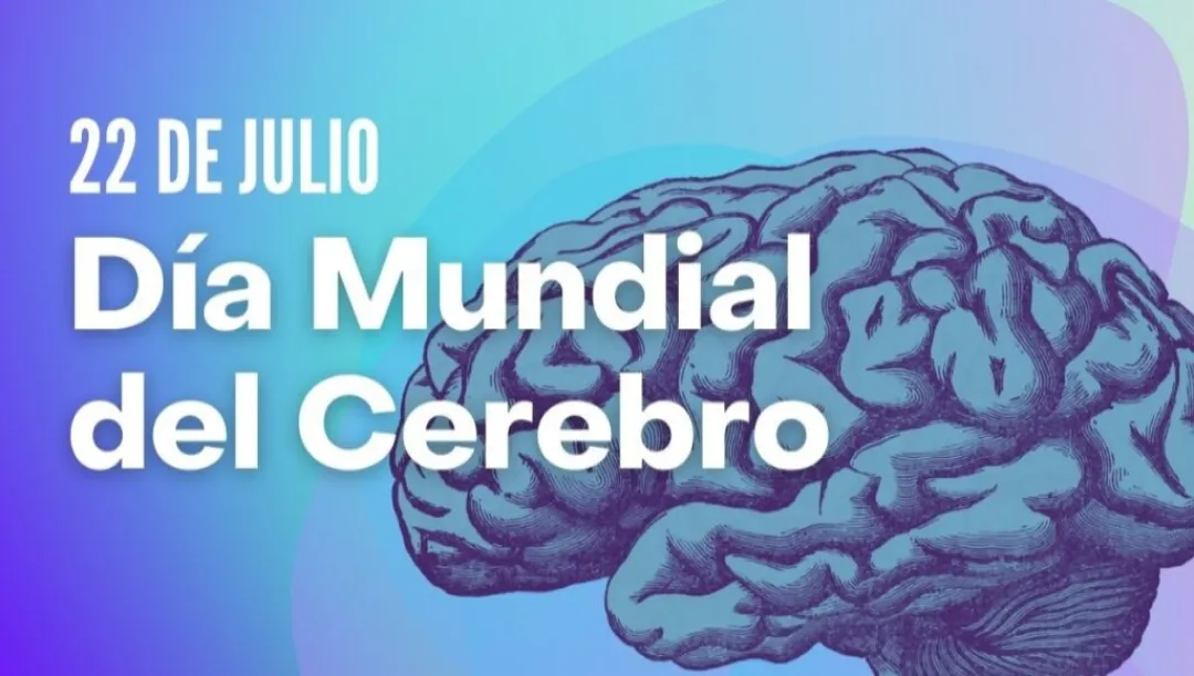 22 de julio: Día mundial del cerebro