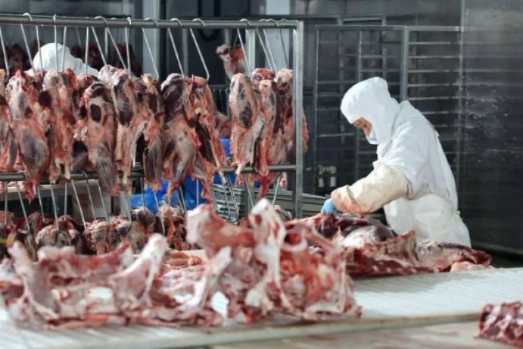 China suspende importaciones de carne y afecta al Mercosur