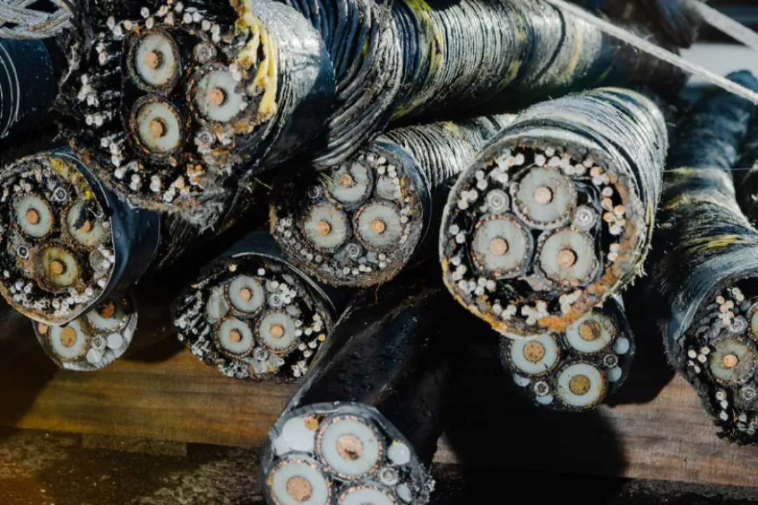 Lula da Silva más cerca de Rusia y China: apuesta a cables submarinos como estrategia digital para Brasil