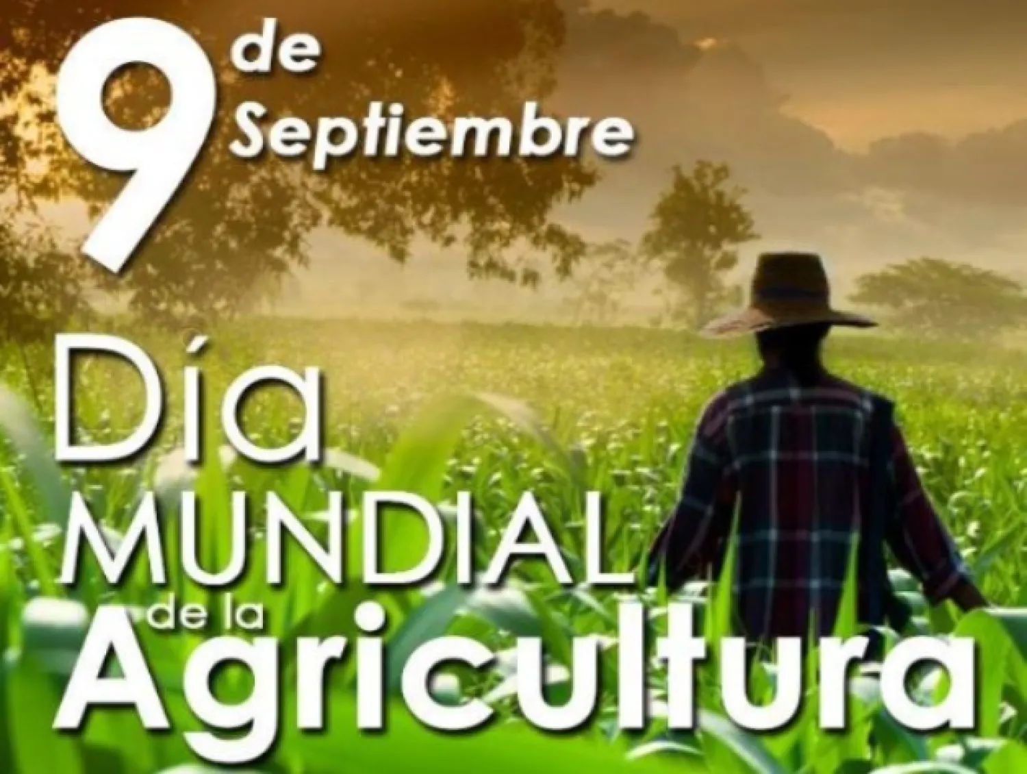 Hoy recordamos el "Día Mundial de la Agricultura"