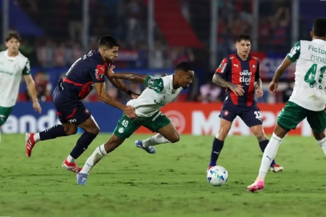 El Ciclón no pudo en casa y cayó ante Palmeiras