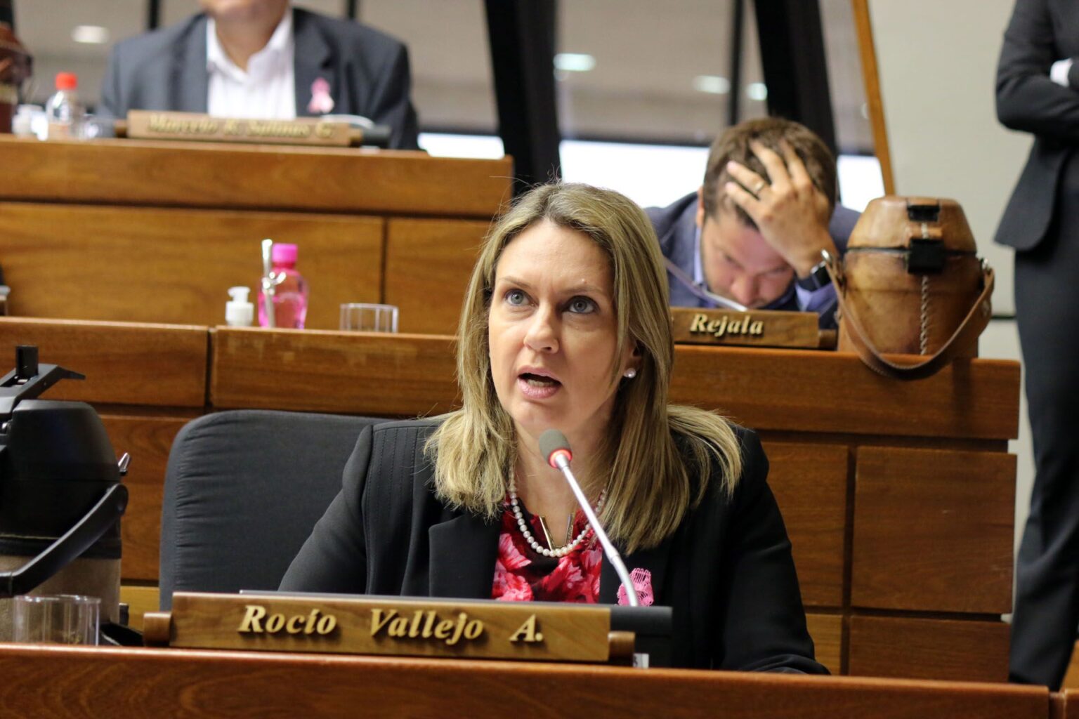 Diputada critica al MEC: “Tenemos una fábrica de títulos falsos para acceder a cargos”