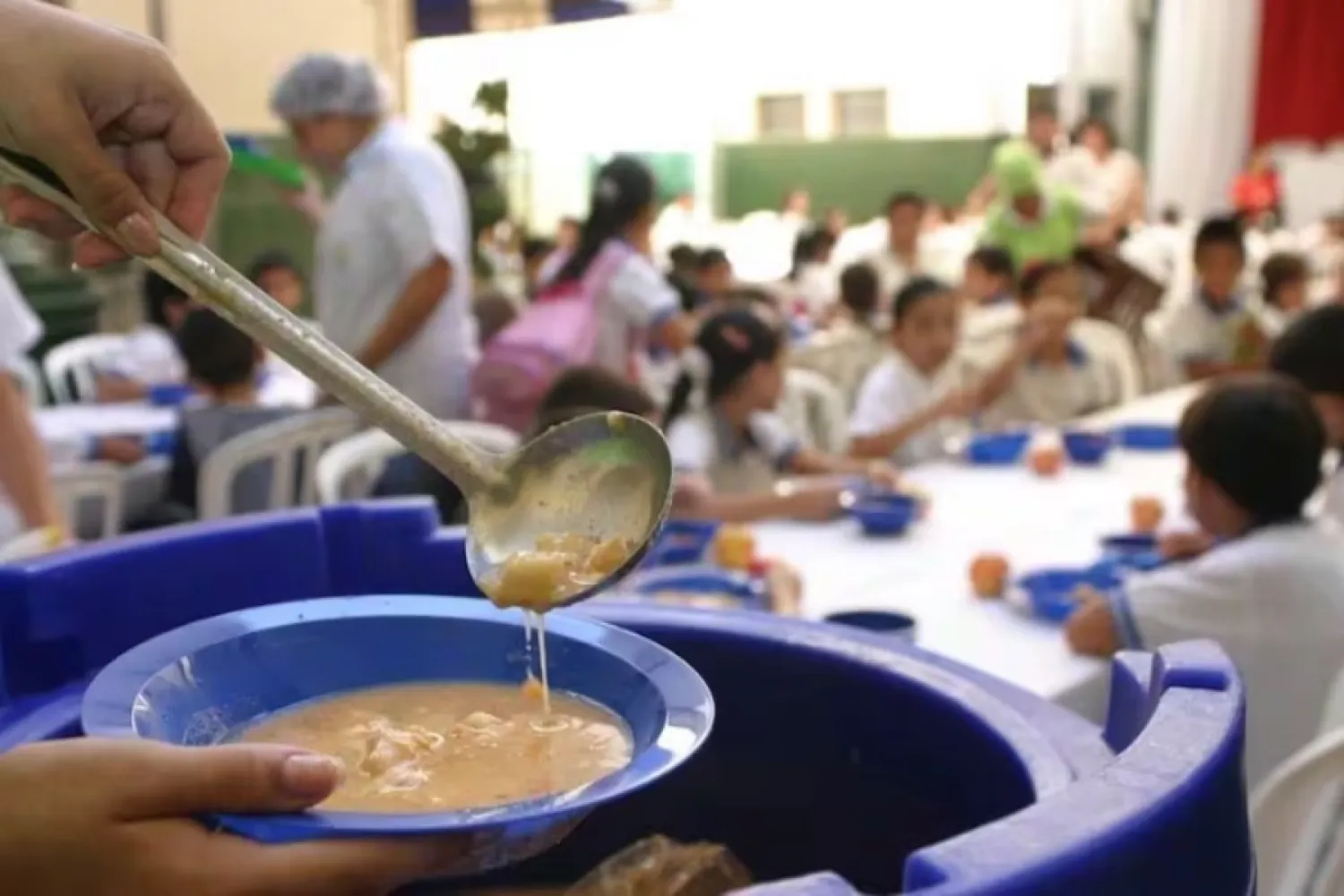 Programa Hambre Cero: niños irían a la escuela en vacaciones para almorzar