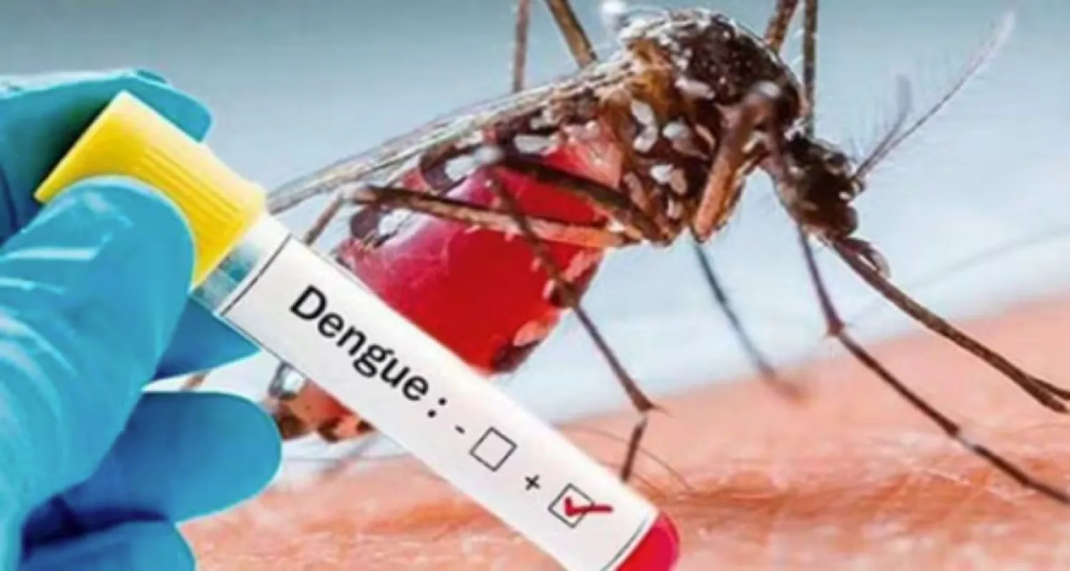 Estrategia de combate: Paraguay prepara vacuna contra el dengue