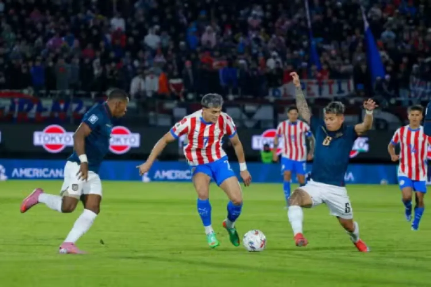 Analizan el impacto económico y social de la clasificación de la Albirroja al Mundial