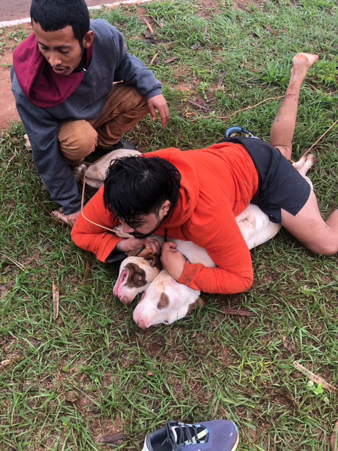 Luchador de Muay Thai es atacado por perros pitbull mientras corría por una vía pública en Ponta Porã