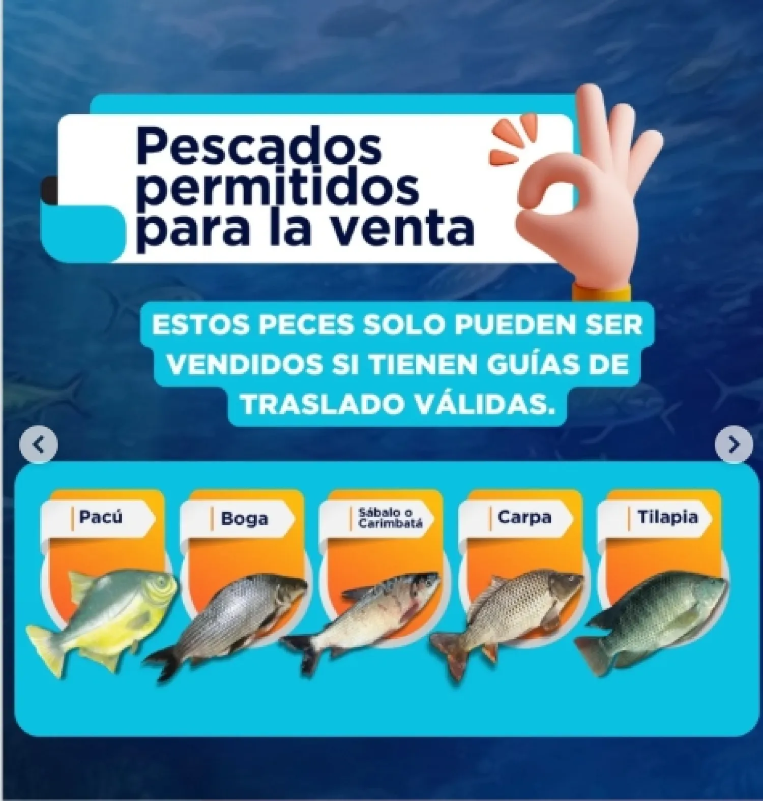 Veda pesquera comienza el domingo y Mades anuncia controles
