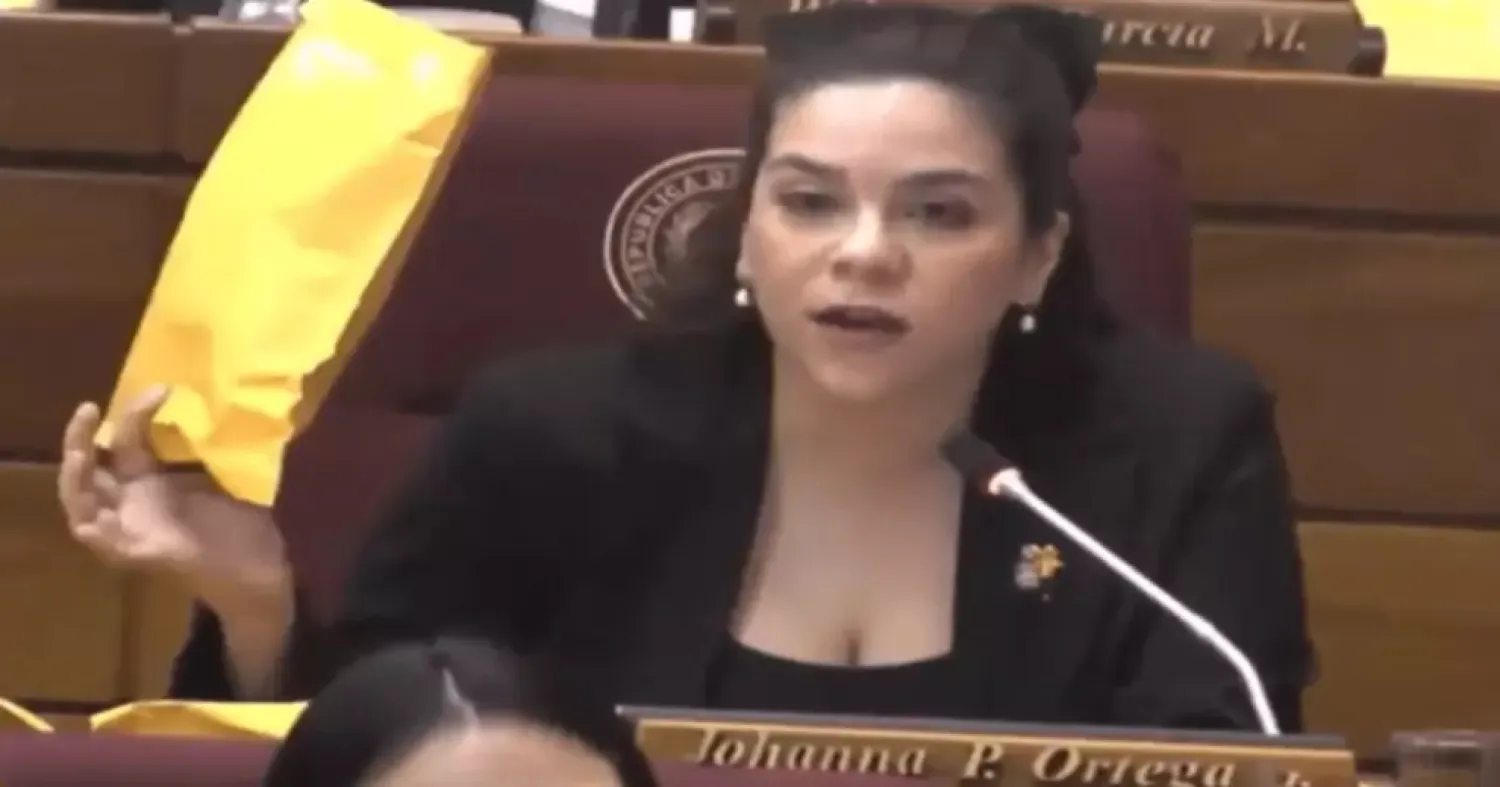 Johana Ortega llevó "sobres de dinero" a la sesión de Diputados como denuncia simbólica