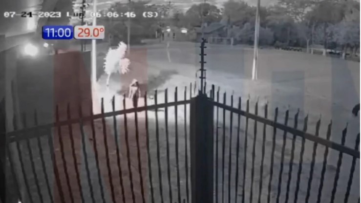 Difunden imágenes del abandono de bebé en Ypané y madre se expone a imputación