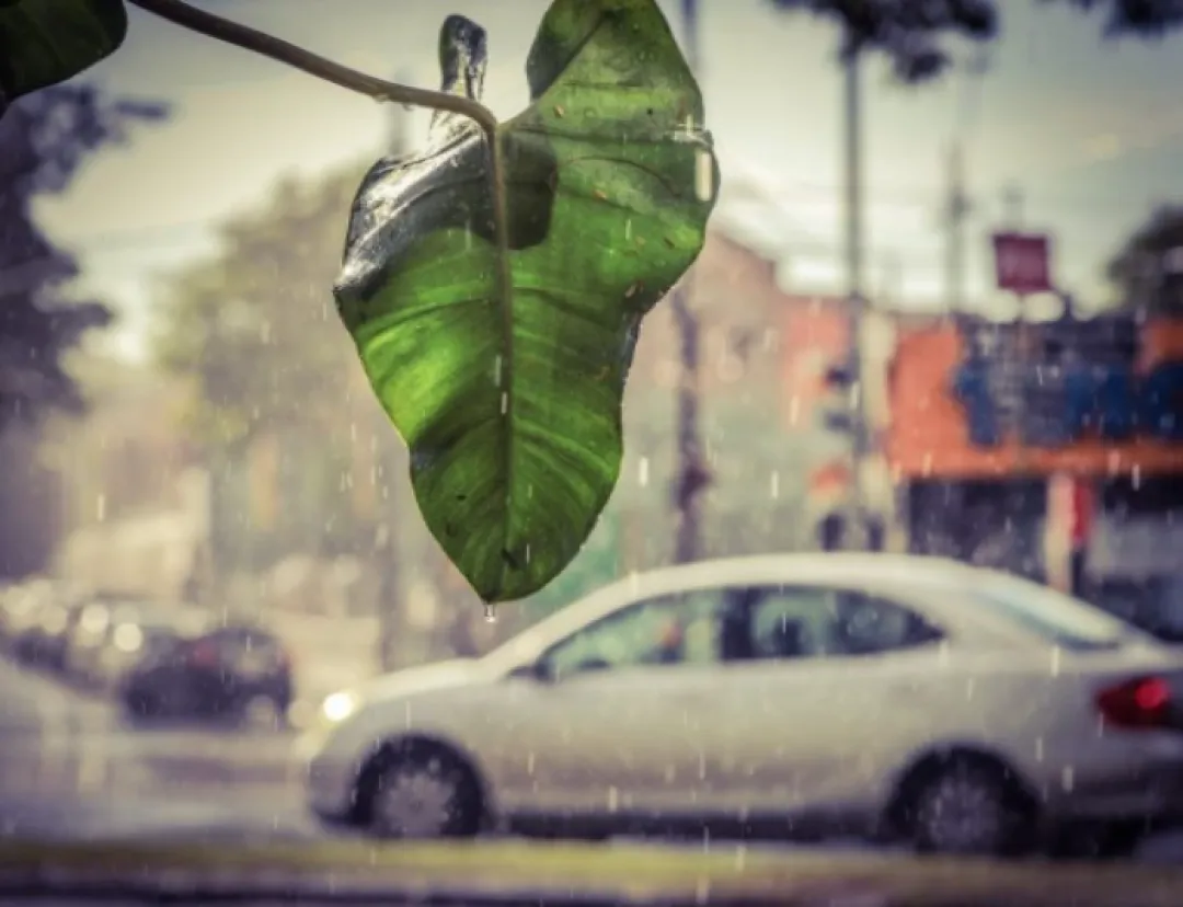 Meteorología anuncia jornada calurosa y lluvias dispersas