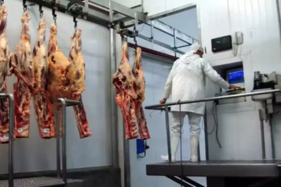 Autorizan exportación de carne bovina al mercado panameño