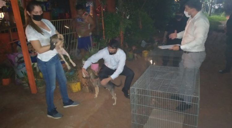 Anciana torturada y encerrada con 14 perros en Luque