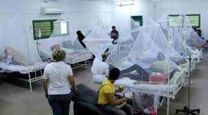 Dengue: se identificaron 382 nuevos casos provenientes de cinco departamentos