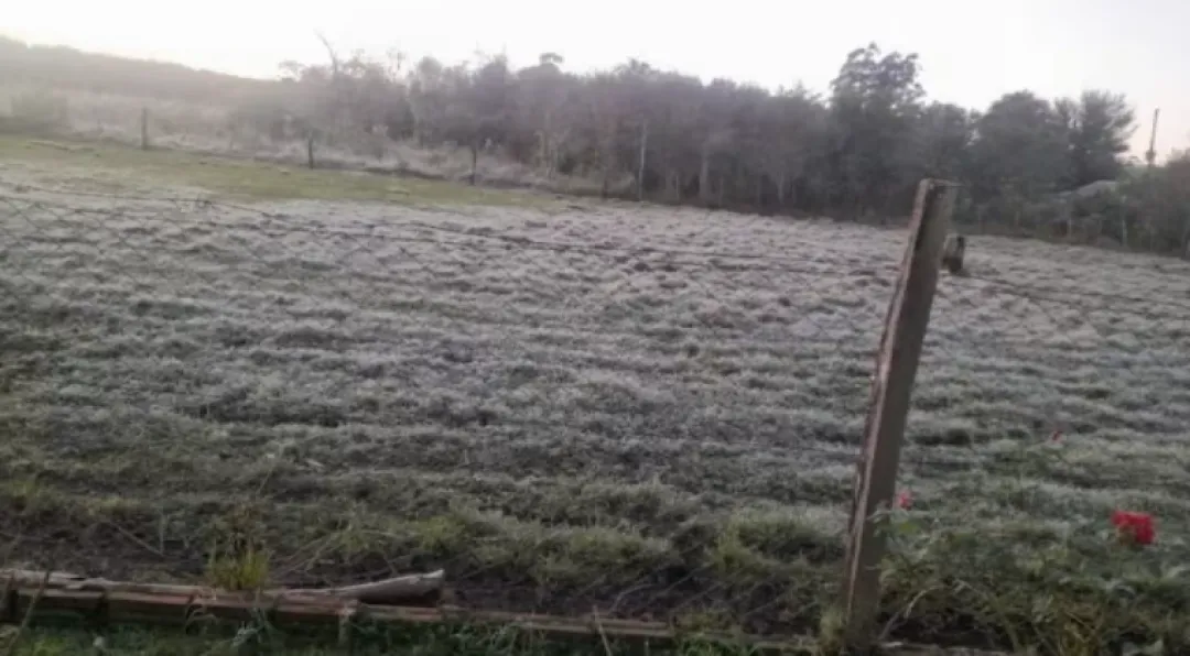 Paraguay amanece con heladas y pone en jaque a cultivos, MAG emite recomendaciones