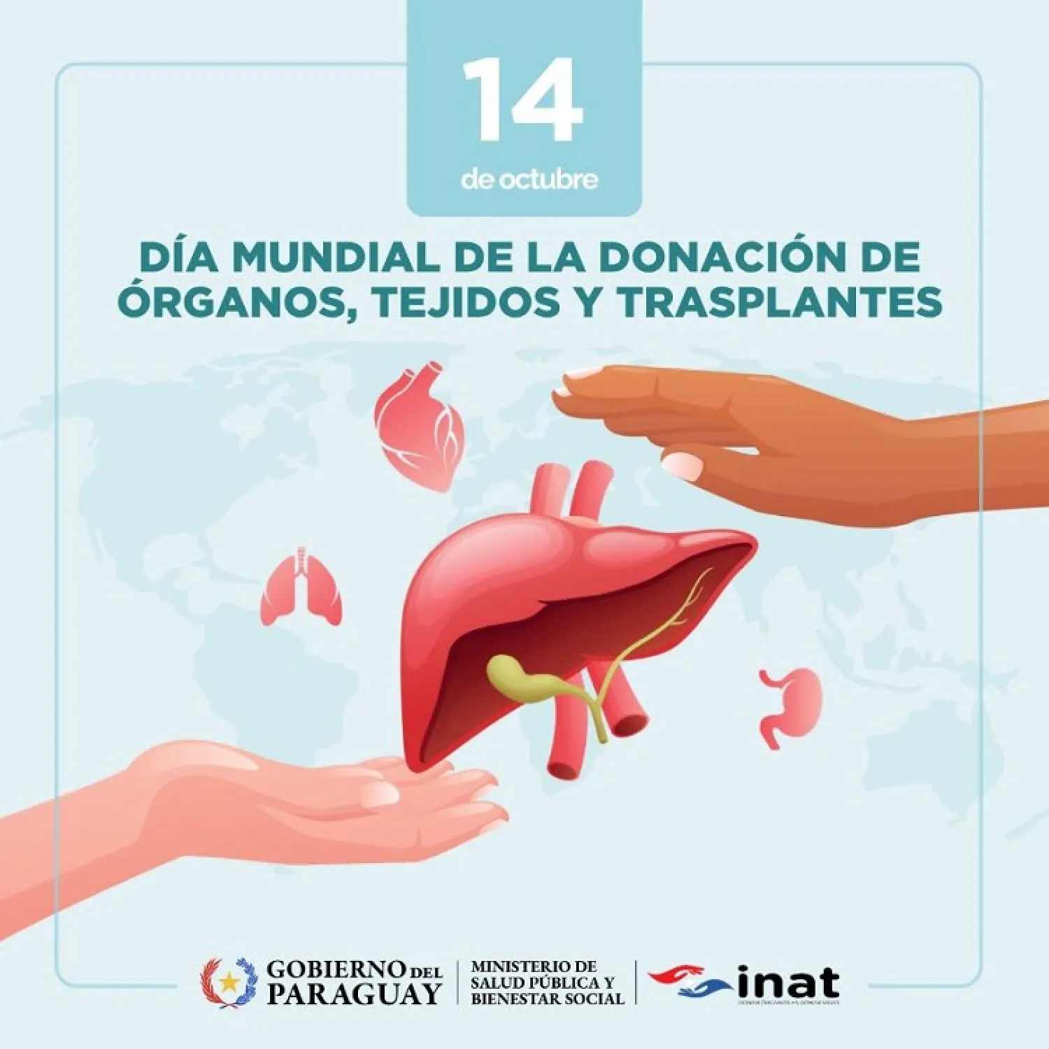 Día Mundial de la Donación de Órganos, Tejidos y Trasplantes: un acto que puede salvar muchas vidas