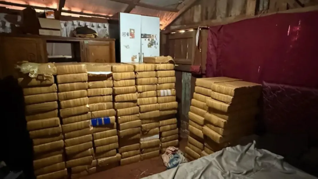 Incautan gran cargamento de marihuana en Alto Paraná