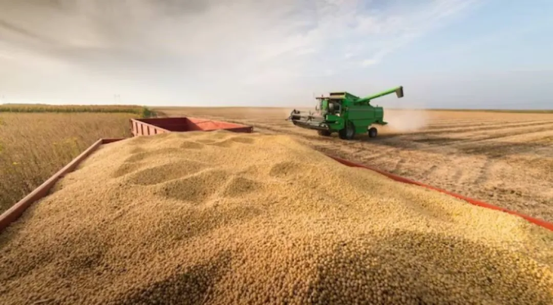 Ponta Porã se encuentra entre los 100 municipios agroindustriales más ricos de Brasil
