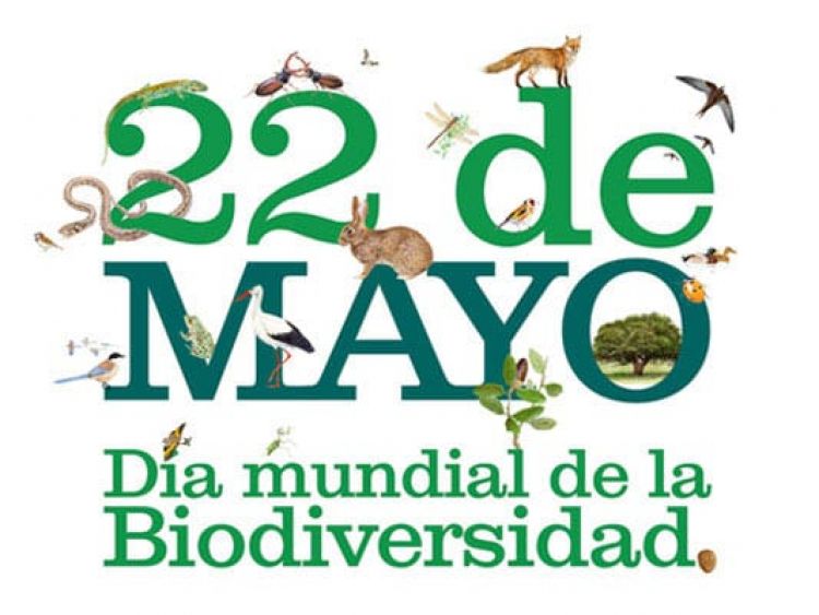 22 de mayo: Día Internacional de la Diversidad Biológica